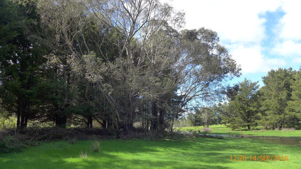 Helen'S Homestead Enfield Exterior foto
