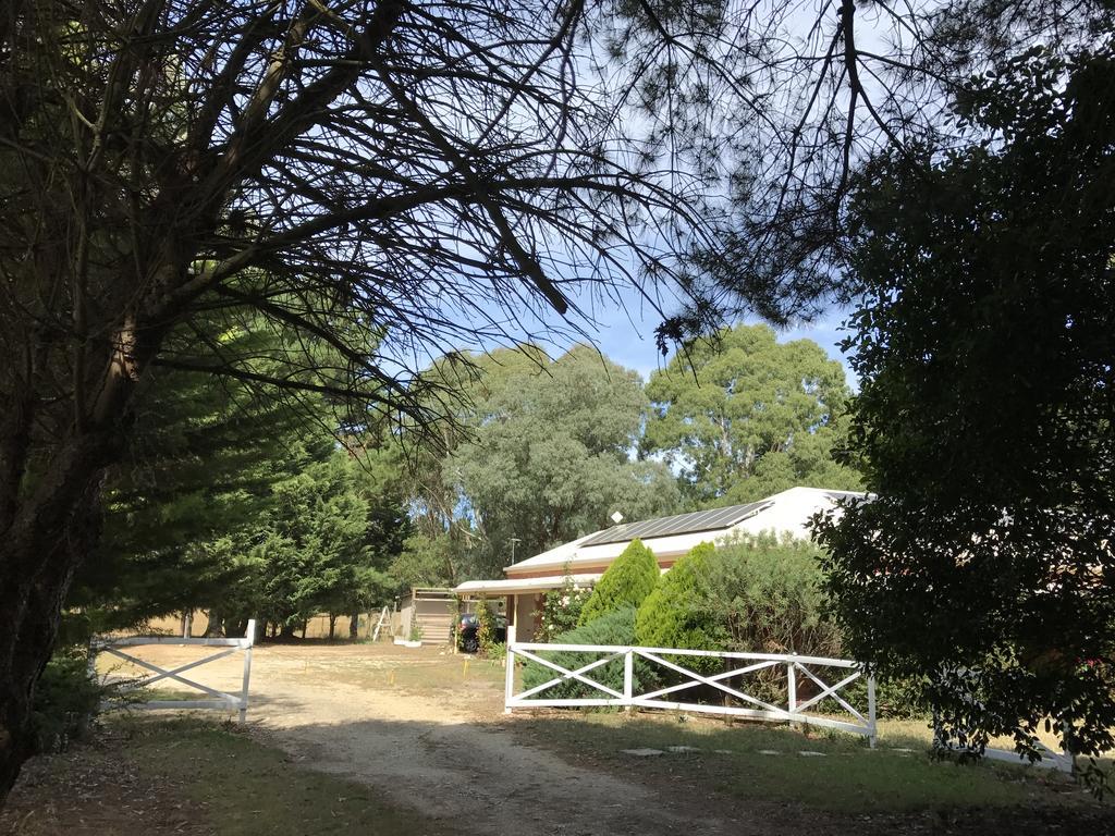 Helen'S Homestead Enfield Exterior foto