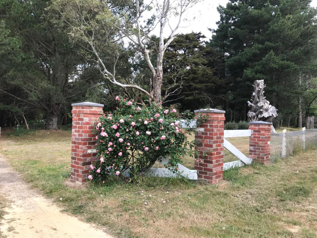 Helen'S Homestead Enfield Exterior foto